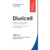 YAMAMOTO Research, Diuricell 1L, Supplément dExtraits Végétaux Drainants, pour les Ballonnements, la Rétention dEau et lAn