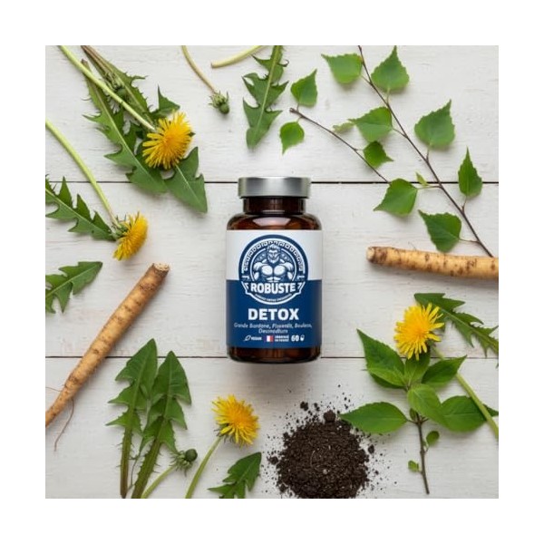 DETOX FOIE PUISSANT - Digestion et Elimination - Pissenlit, Bouleau, Bardane, Desmodium - Complément alimentaire à base de pl