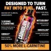 Nutrex Research Carniburn Fuego 31 Servings Vers gélifiés aigres - Régime et gestion du poids - Brûleur de graisse