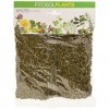 FITOSOL DIENTE DE LEON 40gr.planta FITOSOL – produit spécialisé pour un usage quotidien, convient à ceux qui recherchent un p