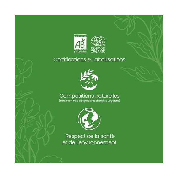 DETOX & DRAINAGE MINCEUR - Complexe Draineur Bio - 60 gélules - Certifié Bio par Ecocert - Maté Vert, Bouleau, Pissenlit, Art