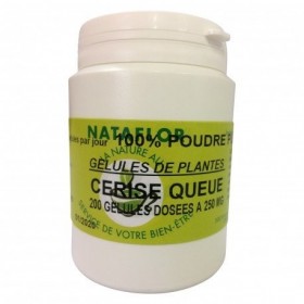 GELULES CERISE QUEUE 200 gélules dosées à 250 mg.