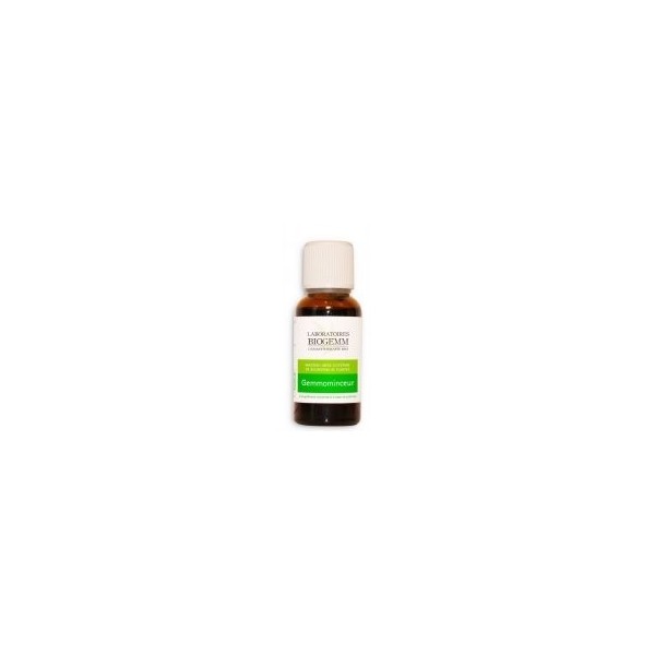 Gemmo Minceur - Flacon 30ml Biogemm