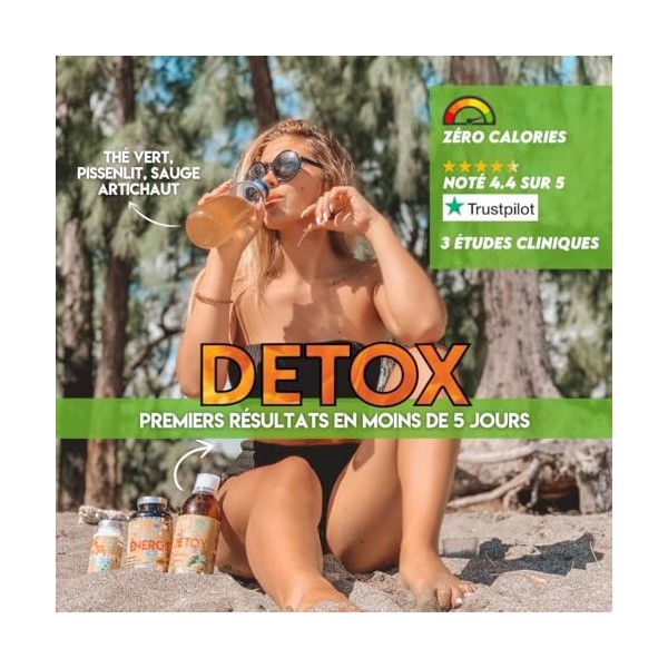 Draineur Detox Ananas à base de plantes Artichaut Pissenlit Sauge et Thé Vert | Booste votre système digestif | Aide à élimin