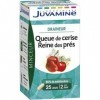 Juvamine Minceur Draineur Queue de Cerise Reine des Prés lot de 2 Diurétiques
