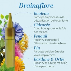 SUPERDIET- DRAINAFLORE BIO - Programme complet de détoxification des 5 émonctoires - Made in France -Format nomade-20 Unidose...
