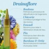 SUPERDIET- DRAINAFLORE BIO - Programme complet de détoxification des 5 émonctoires - Made in France -Format nomade-20 Unidose...