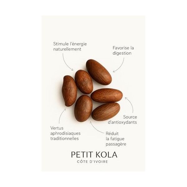 Le Petit Noix de Cola, 200g, Aphrodisiaque Naturel de Côte dIvoire, Super-aliment Bio Africain, Vegan Sans Additifs