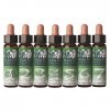PLANTIS - RECOURS FATIGUE 10 ML-7