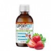 LIPOXYCUT VEGAN SATIETE - Boisson Minceur - Shake, Drink & Burn - Brûle Graisse - Shake Perte de Poids - Formule Perte de Poi