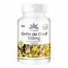 Liane du Prérou 500 mg - 180 gélules - Uña De Gato - Griffes de chat | Herba Direkt - Qualité des pharmacies allemandes