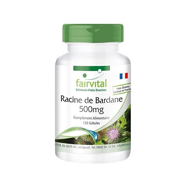 Fairvital | Racine de bardane 500mg avec zinc - 120 Gélule Fortement dosé végétaliennes