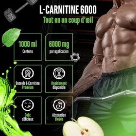 L-Carnitine 6000 Liquid - 1000 ml - Dosage extra élevé avec 6000 mg de L-carnitine pure par portion journalière - Boisson pro...