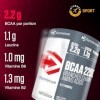 Dymatize BCAA 2200 Caps 400er - Acides aminés essentiels - leucine, isoleucine, valine BCAA