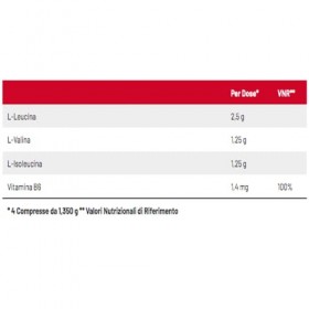 NET BCAA ZERO CARBS 1250 Acides aminés à chaîne ramifiée 400 comprimés Suppléments
