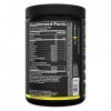 Rule One Energized Amino, Pineapple Passion Fruit - 270g BCAA