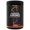Rule One Energized Amino, Pineapple Passion Fruit - 270g BCAA
