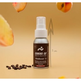 VitaBoost 10 doses - Spray de nutrition sportive avec vitamines, minéraux, BCAA et guarana Effet en 5 min et sans digestion !