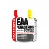 Nutrend EAA Mega Strong Powder, Pineapple + Pear - 300g