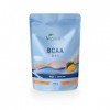 BCAA Poudre | Goût Mangue | Ratio 2:1:1 | 10g par Portion | Pre Workout Puissant | Testé en Laboratoire & Sans Additifs | 450