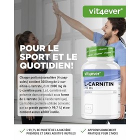 L-Carnitine - 240 Gélules - Hautement Dosé à 3000 mg par Portion journalière - Premium : 100% L-Carnitine Tartrate - Sans add