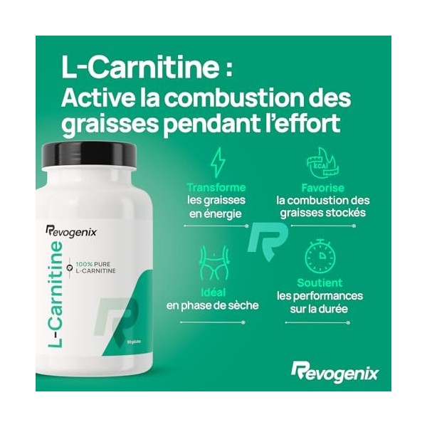 L-Carnitine Tartrate | Energie, Sèche et Récupération | Brûleur de Graisse | Pre-Workout sans Caféine, Créatine | Performance