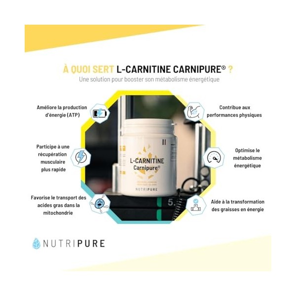 Nutripure | L-Carnitine Carnipure® 2000 mg | Forme Pure | Idéal avant l’entraînement | Poudre | Qualité Brevetée Carnipure® |...
