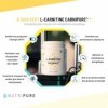 Nutripure | L-Carnitine Carnipure® 2000 mg | Forme Pure | Idéal avant l’entraînement | Poudre | Qualité Brevetée Carnipure® |...