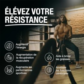 L-Carnitine Carnipure® Suisse 2000 mg/jour | Énergie et endurance maximales | Récupération rapide | Supplément PREMIUM dévelo