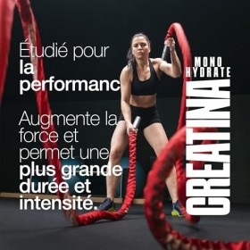 Creatine Monohydrate 120 Comprimés 3000mg. Augmente Performance Physique & Force Musculaire. Créatine Monohydrate pour la mas