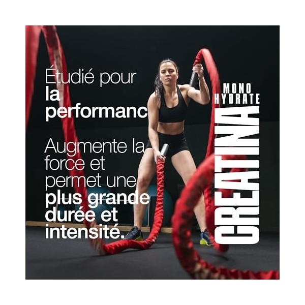 Creatine Monohydrate 120 Comprimés 3000mg. Augmente Performance Physique & Force Musculaire. Créatine Monohydrate pour la mas