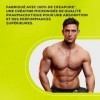 BioTechUSA Mega Creatine │ Formule de marque Creapure® │ Formule micronisée │ Pureté et fiabilité exceptionnelles, 306 g, Non