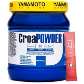 YAMAMOTO CreaPowder 500 g + H2o Prozis Hommage - Créatine monohydrate pur sans gluten sans lactose, 1 article