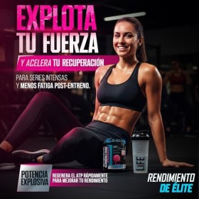 Créatine monohydrate Life Pro 200 mesh micronisée 500 g, poudre de créatine micronisée dune pureté de 99,9%, augmente lendu