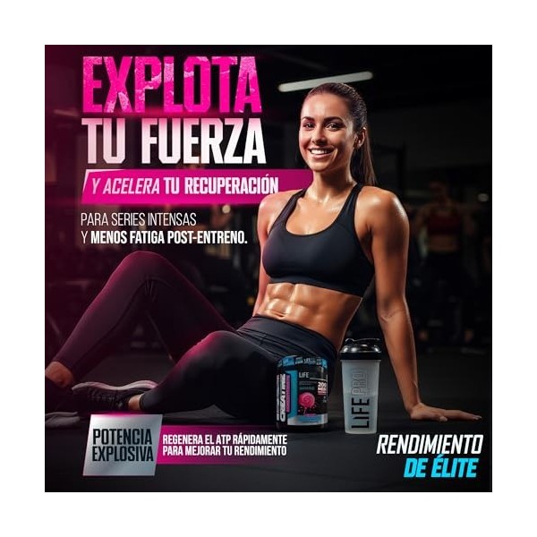 Créatine monohydrate Life Pro 200 mesh micronisée 500 g, poudre de créatine micronisée dune pureté de 99,9%, augmente lendu