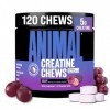 Universal Nutrition Animal Creatine Chews 120 pieces Raisin
