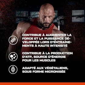 Scitec Nutrition 100% Creatine Monohydrate - Vegan - 3g par portion - Boost de performance pour les exercices de haute intens...