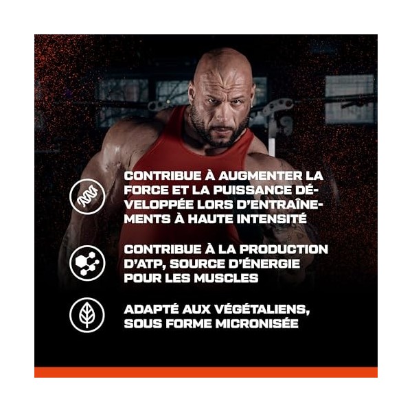 Scitec Nutrition 100% Creatine Monohydrate - Vegan - 3g par portion - Boost de performance pour les exercices de haute intens...