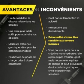 Bandini® Créatine HCL en poudre 300g - Saveur très forte et intense, mais 100% PURE - Évitez-la si vous êtes sensible au goût