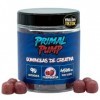 Primal Pump Gommes de Créatine Monohydratée 4,5g - Créatine en Gommes pour Performance et Puissance - Sans Sucre, Véganes et 