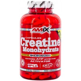 Amix Creatine Monohydrate - Créatine Food Complément 100% Micronisé, améliore les performances physiques, augmente la force e