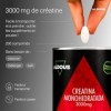 Creatine Monohydrate 3000mg - 200 comprimés faciles à casser - Endurance, force musculaire, performance physique - Creatine M