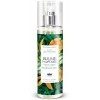 Brume Parfumée Mangue Eau dAloé Vera 250ml - Les Petits Bains de Provence