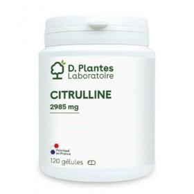 D.PLANTES - Citruline - Complément Alimentaire - Énergie, Améliore la cIrculation, Maintien Musculaire & Métabolisme - 120 Gé