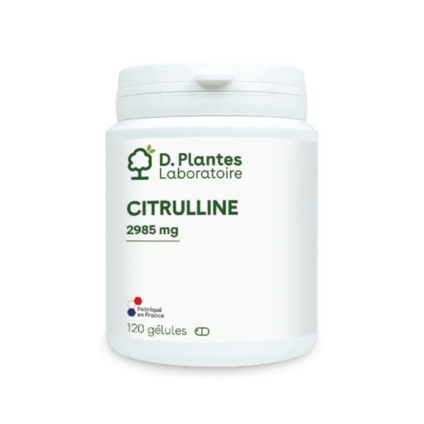 D.PLANTES - Citruline - Complément Alimentaire - Énergie, Améliore la cIrculation, Maintien Musculaire & Métabolisme - 120 Gé