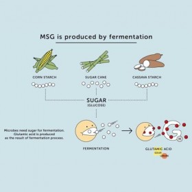 AJINOMOTO - Glutamate monosodique, 1 x 200 g , glutamate monosodique MSG , exhausteur de goût de qualité supérieure pour cu