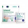 SAKAI INTECOL GLUTAMINA 15sbrs. – supplément conditionné en sachets pour boisson à mélanger, pratique à mélanger avec de l’ea