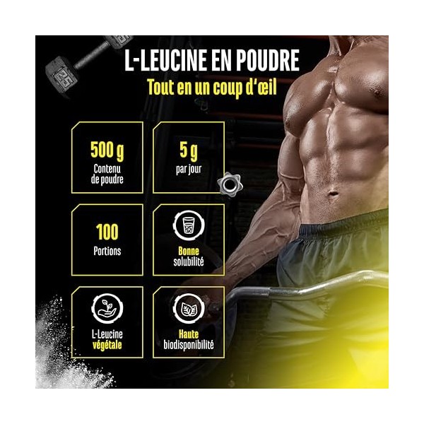 Leucine - 500 g de poudre - Haute pureté - Matière première de première qualité : L-leucine naturelle fermentée - Acide aminé