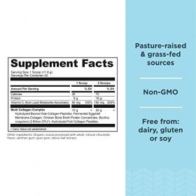 Ancient Nutrition Multi Collagen Protein Powder Chocolate 524 grams