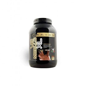 Net Integratori VB MICELLE XL Blend Protéinée, Saveur Chocolat, 900 g